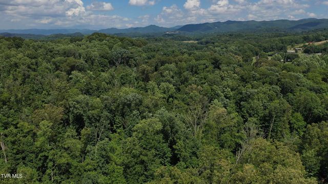 12ac Tbd Max Jett Road, Johnson City, TN 37601