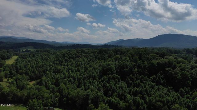 12ac Tbd Max Jett Road, Johnson City, TN 37601