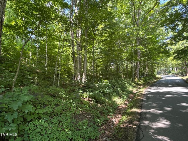 12ac Tbd Max Jett Road, Johnson City, TN 37601