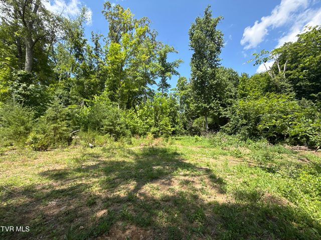 12ac Tbd Max Jett Road, Johnson City, TN 37601