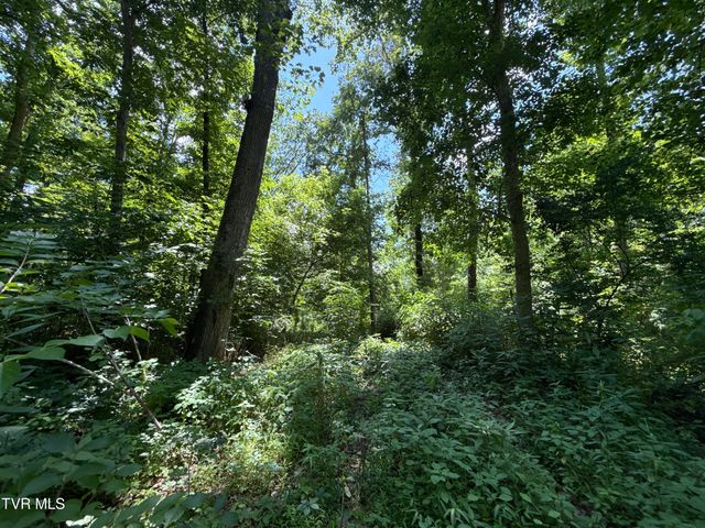 12ac Tbd Max Jett Road, Johnson City, TN 37601
