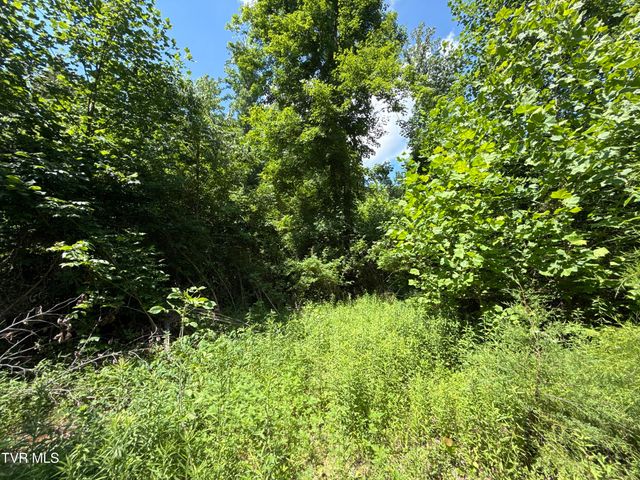 12ac Tbd Max Jett Road, Johnson City, TN 37601