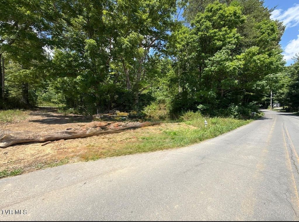 12ac Tbd Max Jett Road, Johnson City, TN 37601