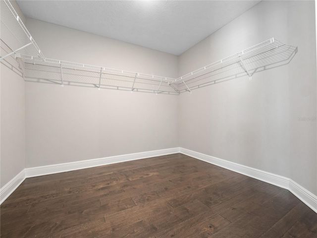 5351 BRIDGE STREET 49, Tampa, FL 33611