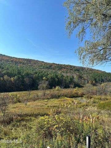 1045 State Route 145, Broome, NY 12122