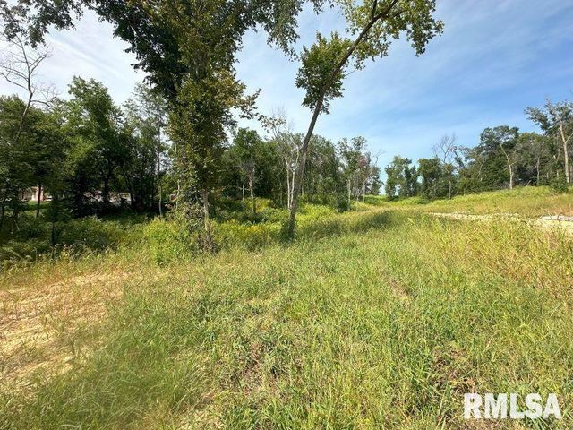 Lot 1 225TH Street, De Witt, IA 52742