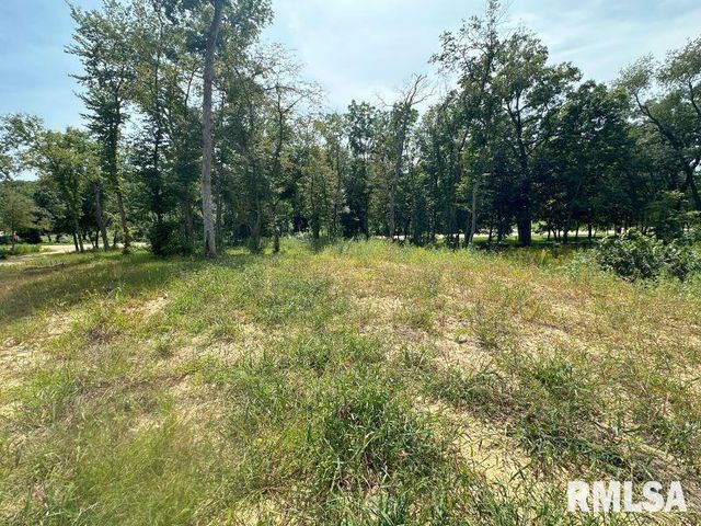 Lot 1 225TH Street, De Witt, IA 52742