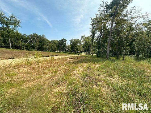 Lot 1 225TH Street, De Witt, IA 52742