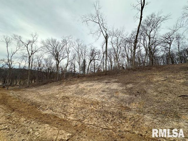 Lot 1 225TH Street, De Witt, IA 52742