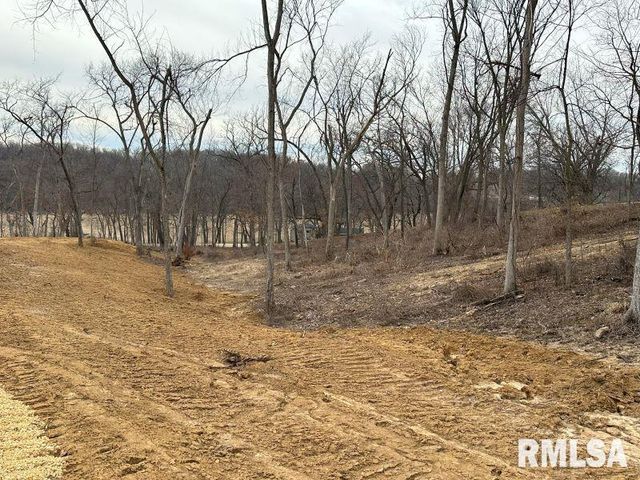 Lot 1 225TH Street, De Witt, IA 52742