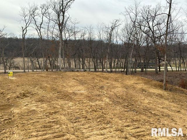 Lot 1 225TH Street, De Witt, IA 52742