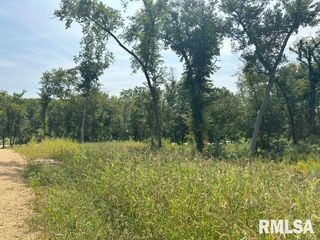 Lot 1 225TH Street, De Witt, IA 52742