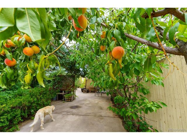 450 S Quitman St, Denver, CO 80219