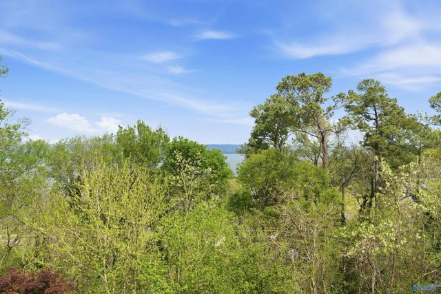 1525 Willow Beach Road, Guntersville, AL 35976