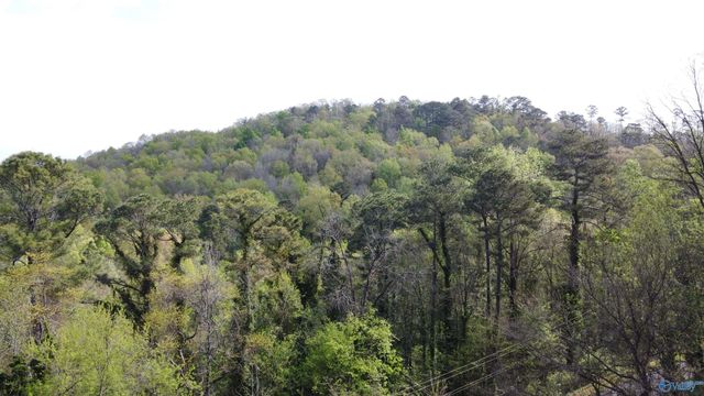 1525 Willow Beach Road, Guntersville, AL 35976