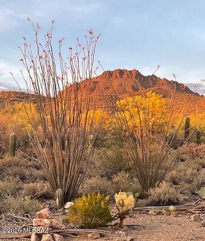 7736 W Copper Nugget Drive, Tucson, AZ 85735