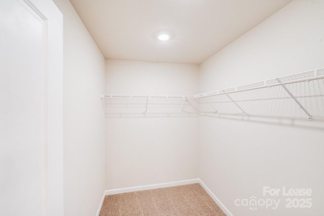 2019 Sadler Woods Lane, Charlotte, NC 28214