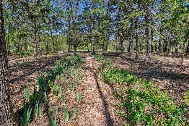 239 County Road 118, Whitesboro, TX 76273