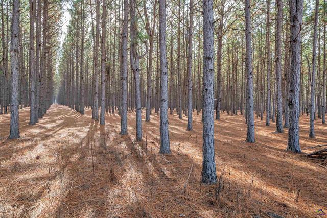 202 John Cobb Road, Hawkinsville, GA 31036