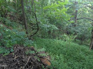 248 Bayberry Drive, Kingsport, TN 37663