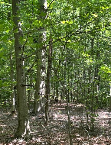 0 Christian Mill Creek Rd., Amherst, VA 24521