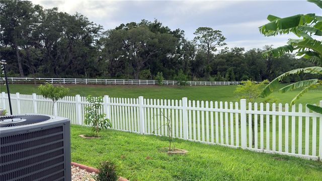 6015 NIGHTJAR COURT, Okahumpka, FL 34762