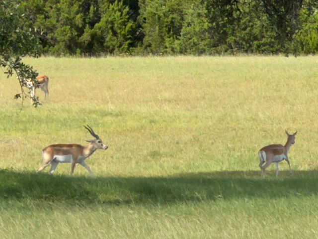 Lot 160 Brumley View CT, Marble Falls, TX 78654
