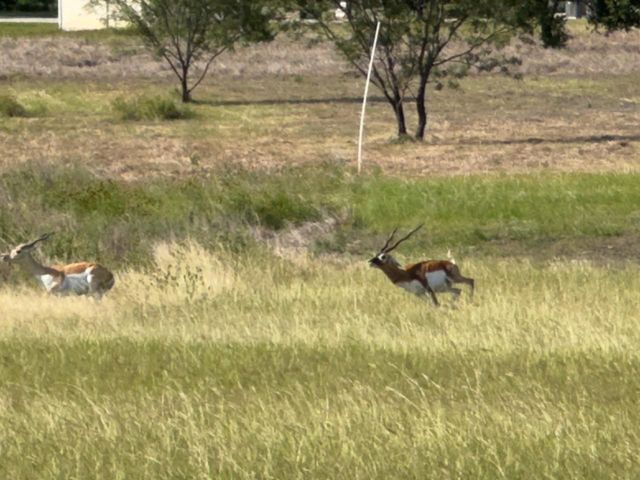 Lot 160 Brumley View CT, Marble Falls, TX 78654