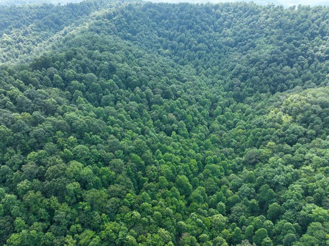 9999 S Highway 11, Manchester, KY 40962