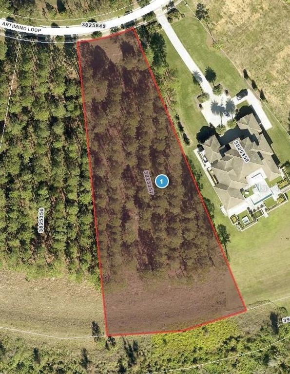 16830 ARTIMINO LOOP, Bella Collina, FL 34756