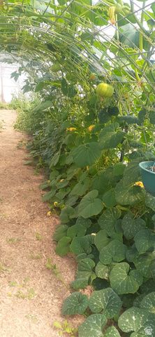 7587 S 39700 W, Fruitland, UT 84027