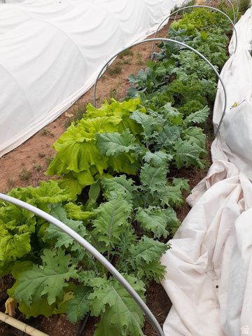 7587 S 39700 W, Fruitland, UT 84027