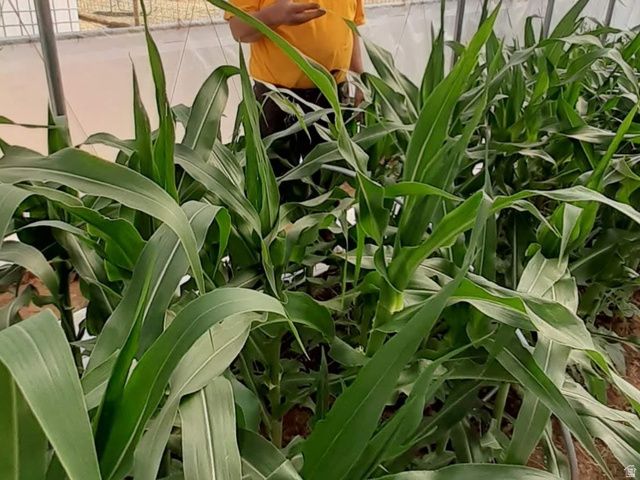 7587 S 39700 W, Fruitland, UT 84027