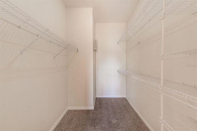 19130 WOOD SAGE DRIVE, Tampa, FL 33647