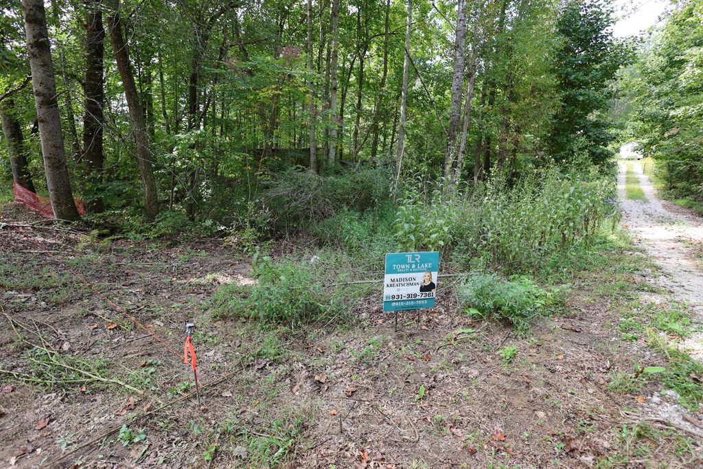 245 Woolf Pass Ln, Sparta, TN 38583