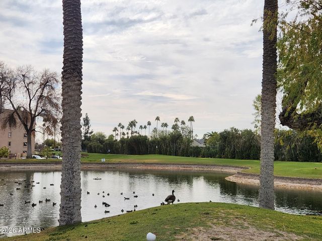 7930 E CAMELBACK Road 207, Scottsdale, AZ 85251