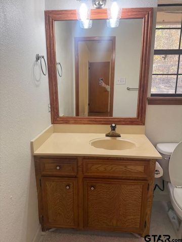 18489 Paradise ln, Flint, TX 75762