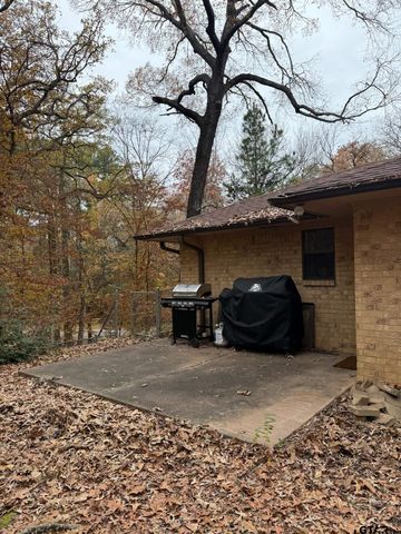 18489 Paradise ln, Flint, TX 75762