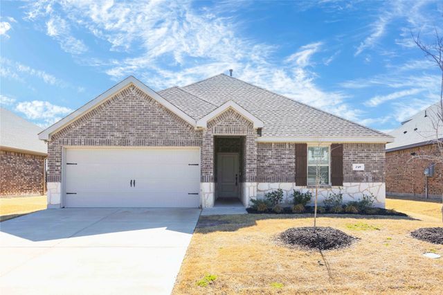 719 Cool Canyon Trail, Princeton, TX 75407