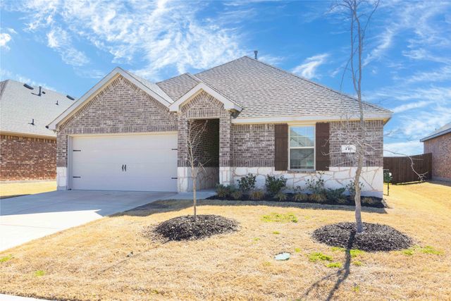 719 Cool Canyon Trail, Princeton, TX 75407