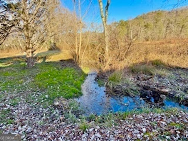 462 River Vista Drive, Dillard, GA 30537