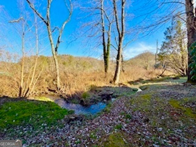 462 River Vista Drive, Dillard, GA 30537