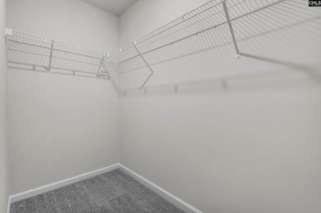 625 Marbled Teal Lane, Hopkins, SC 29061