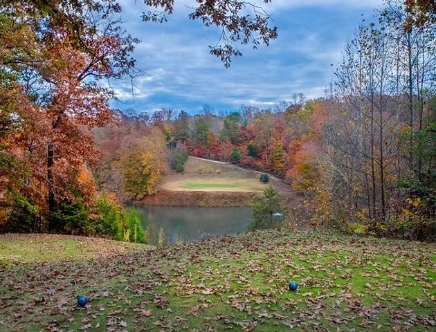 0 Palmer Lane, Westminster, SC 29693