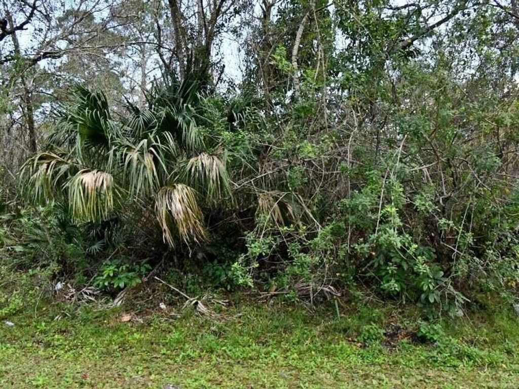 2120 Scott Avenue, Alva, FL 33920