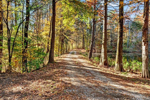 2243 Bear Camp Rd, Centerville, TN 37033