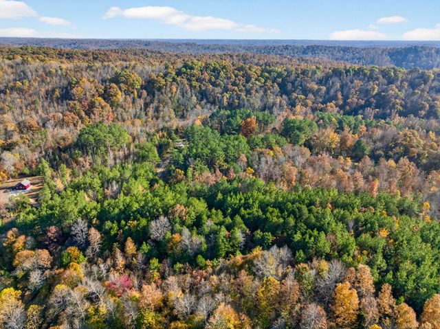 2243 Bear Camp Rd, Centerville, TN 37033