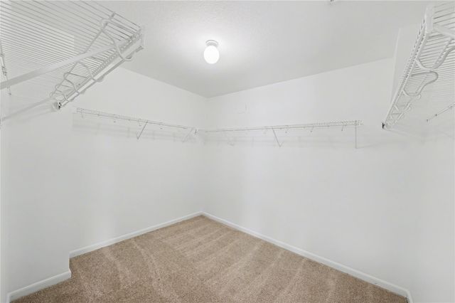 11243 Wild Goose Drive, Tomball, TX 77375