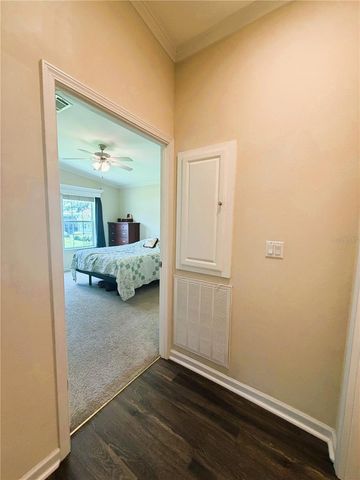 165 SAGO PALM DRIVE, Leesburg, FL 34748