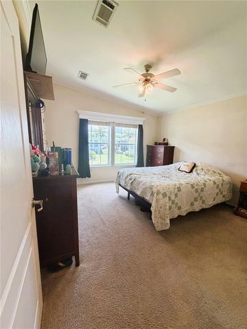 165 SAGO PALM DRIVE, Leesburg, FL 34748